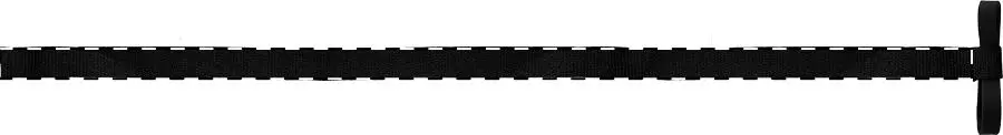 Digital transfer – Right ribbon - front side