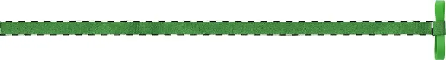 Digital transfer – Right ribbon - front side