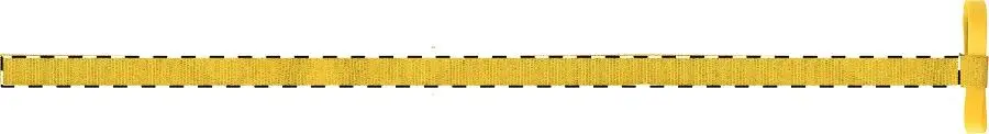 Digital transfer – Right ribbon - front side