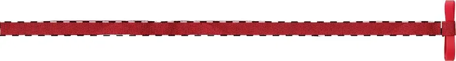 Digital transfer – Right ribbon - front side