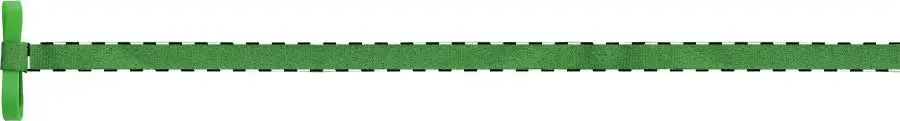 Digital transfer – Left ribbon - front side