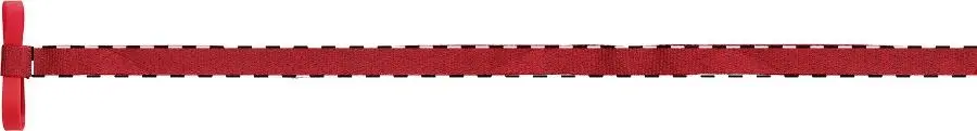Digital transfer – Left ribbon - front side