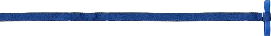 Digital transfer – Right ribbon - front side