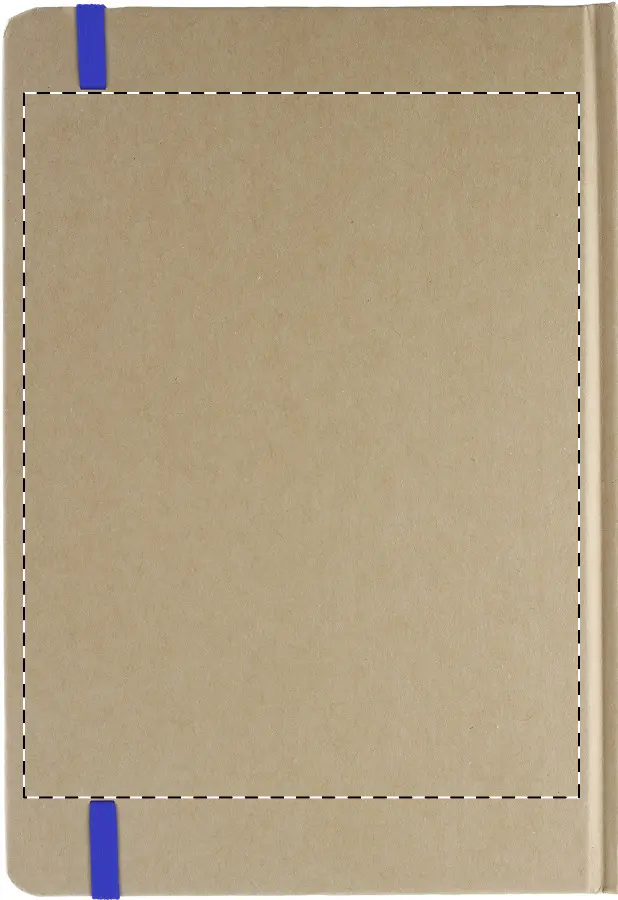 Digital transfer – Back side