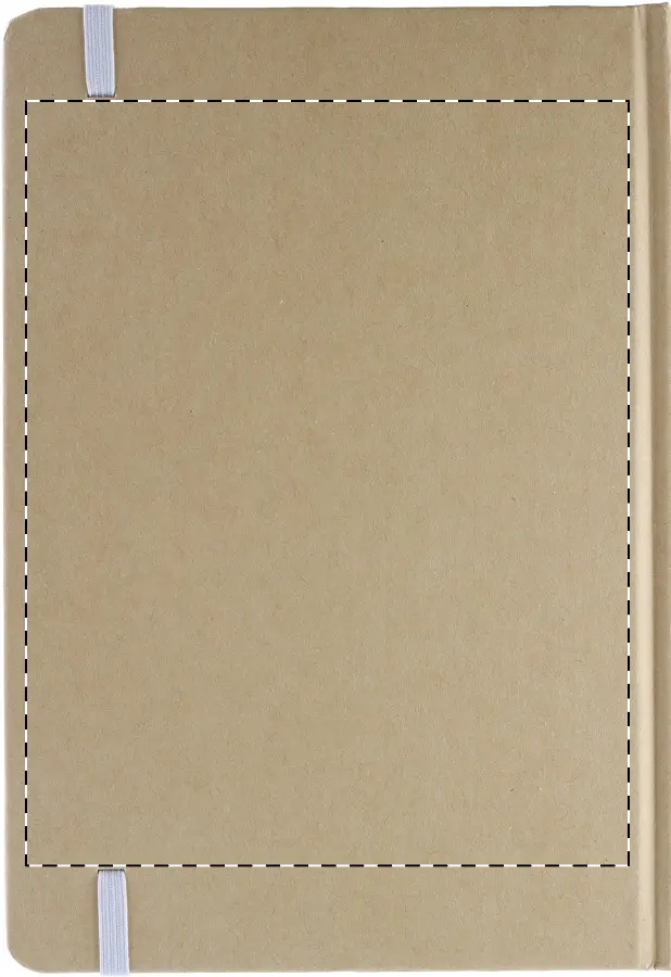 Digital transfer – Back side