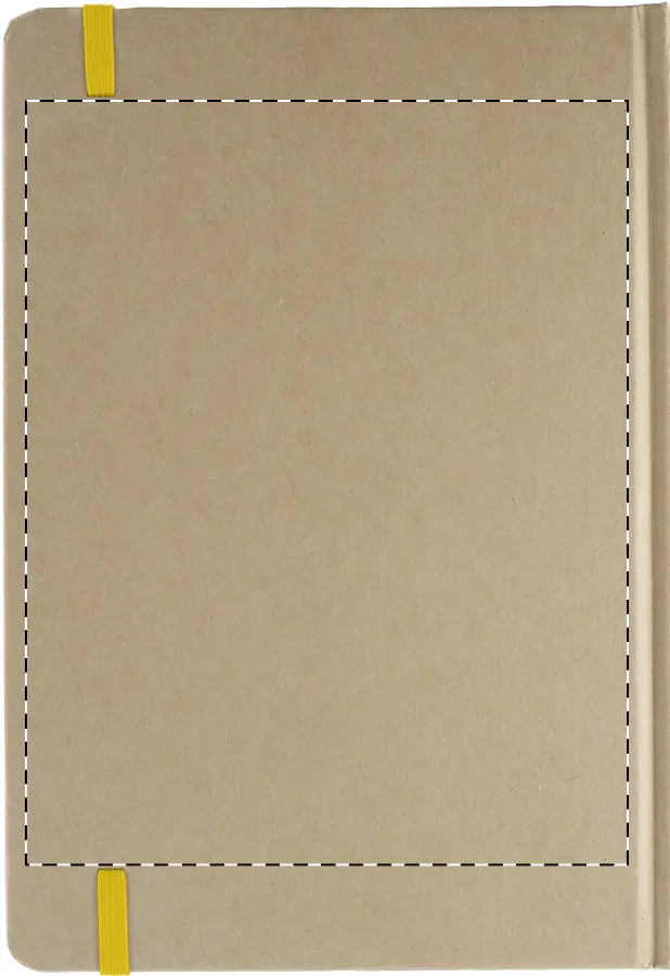 Digital transfer – Back side