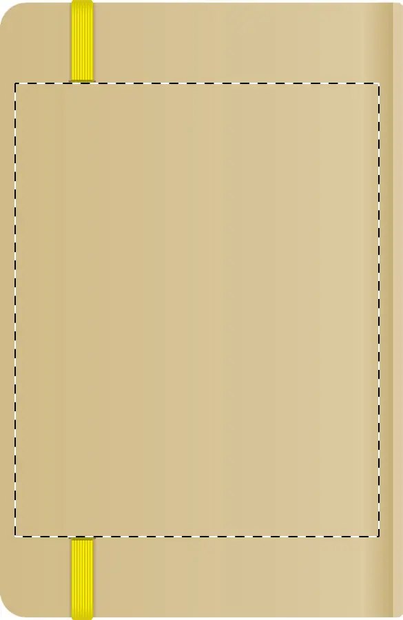 Digital transfer – Back side
