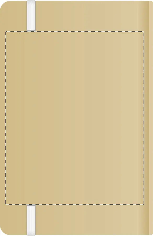 Digital transfer – Back side