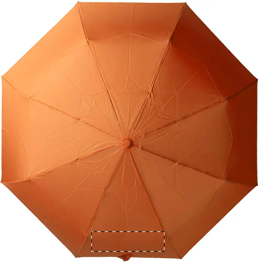 Digital transfer – Panel 1 - with closure strap (panel numbering clockwise)
